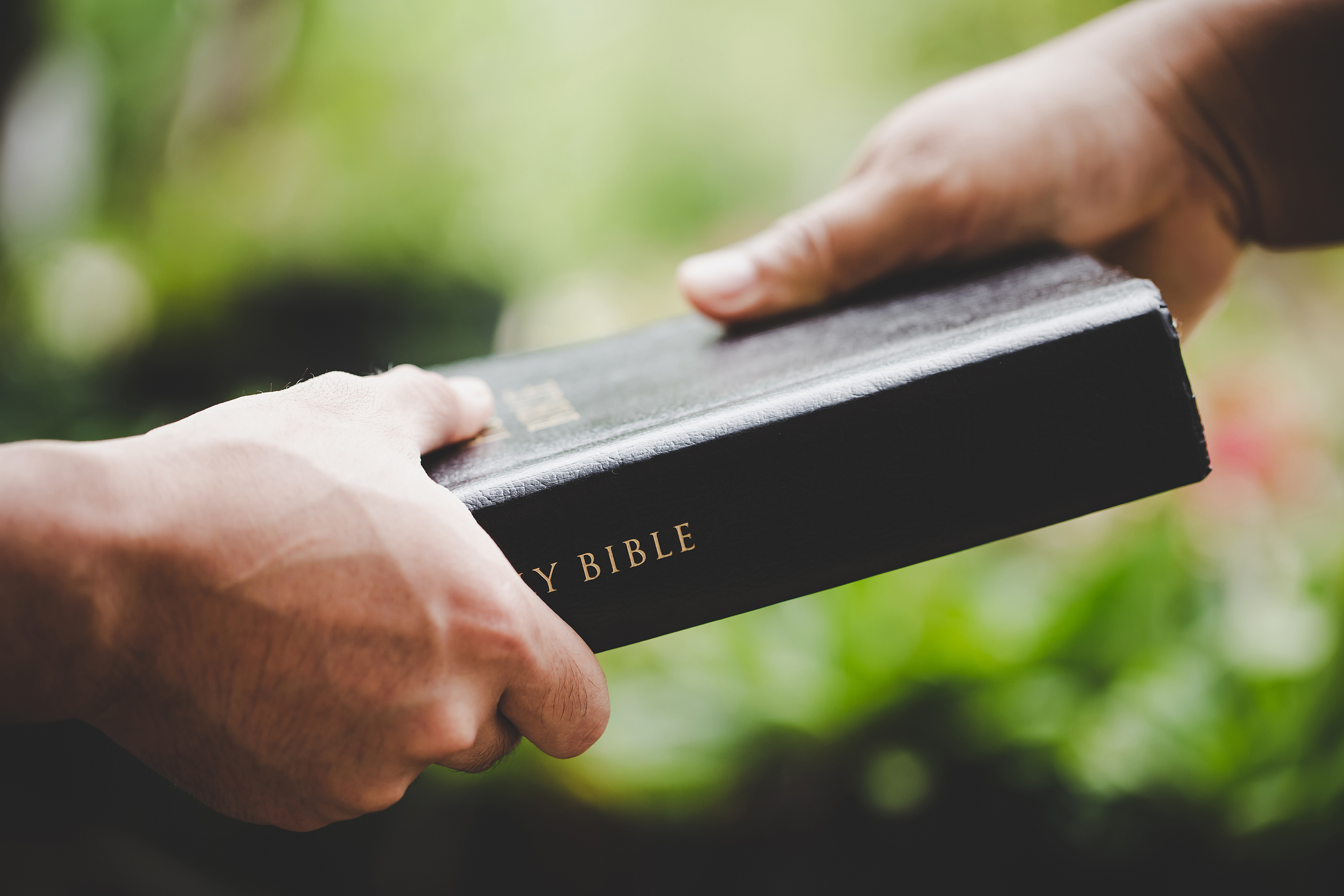Hebrew Bible in Historical Critical Perspective