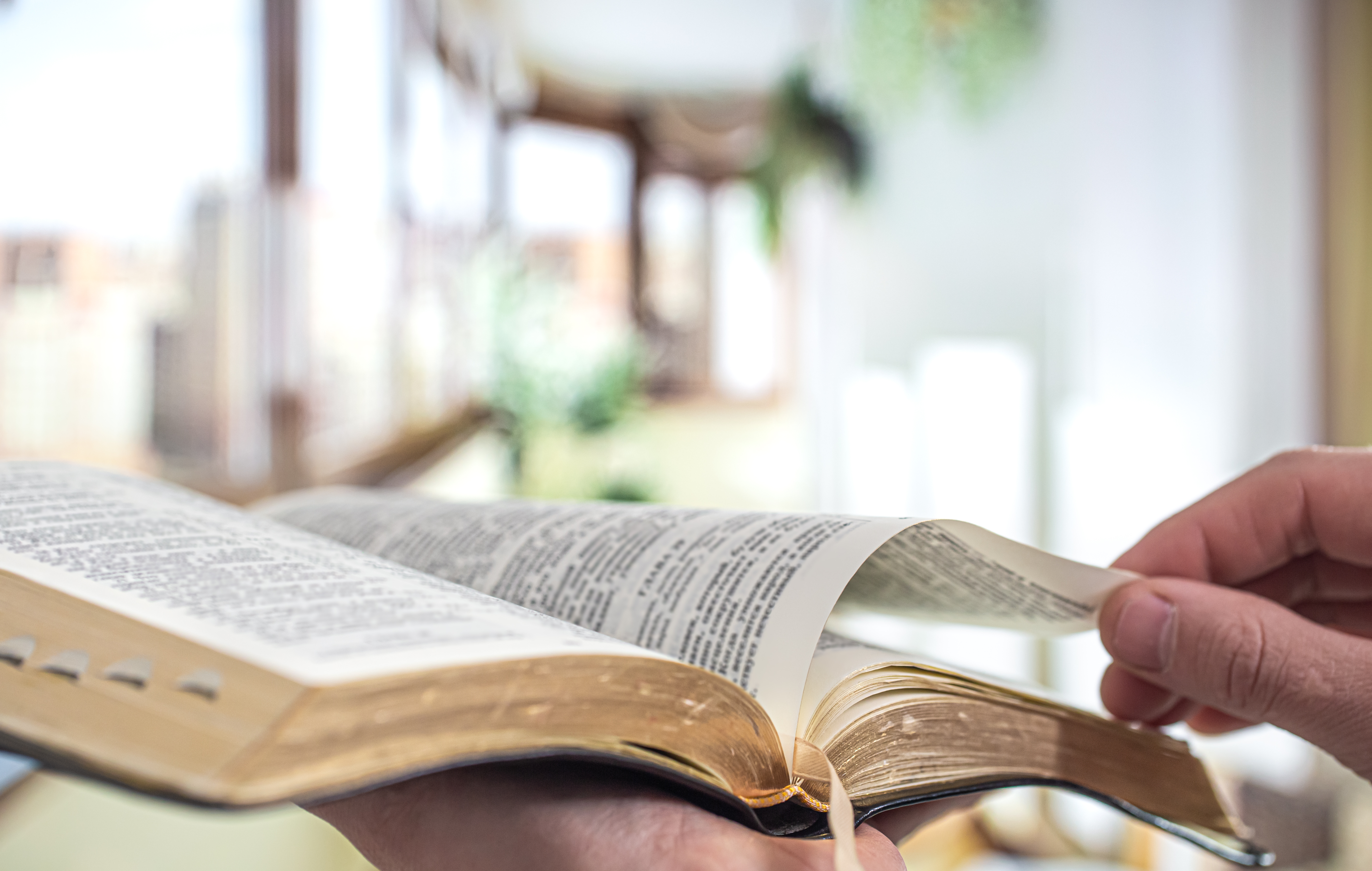 Biblical Exegesis