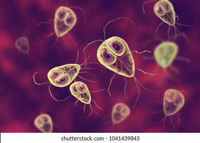 diagnostic mycology